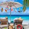 6 Pieces Hawaiian Tropical Parrot Bird Honeycomb Hanging Party Decorations, Summer Tiki Bar Party Decor, Rainforest Decorations Garden Yard Room Decor